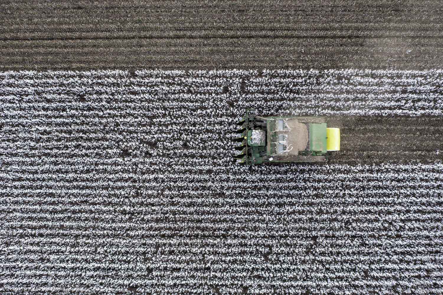 Kimberley Cotton Co Gin Birds Eye View Of Tracktor Picking Cotton Kununnurra