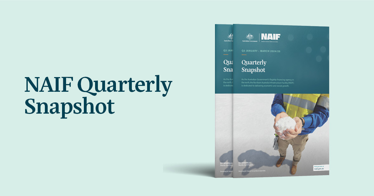 NAIF Quarterly Snapshot October - December Q3 2024-25