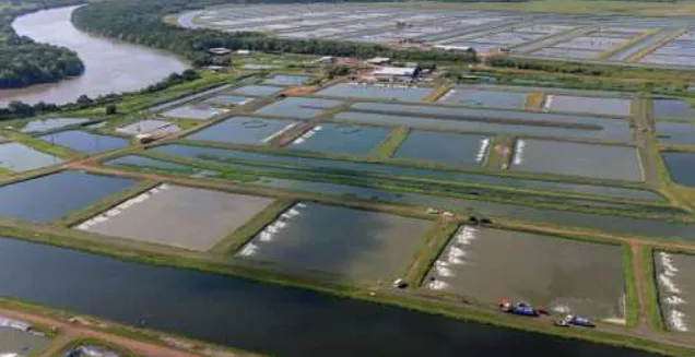 farm developement