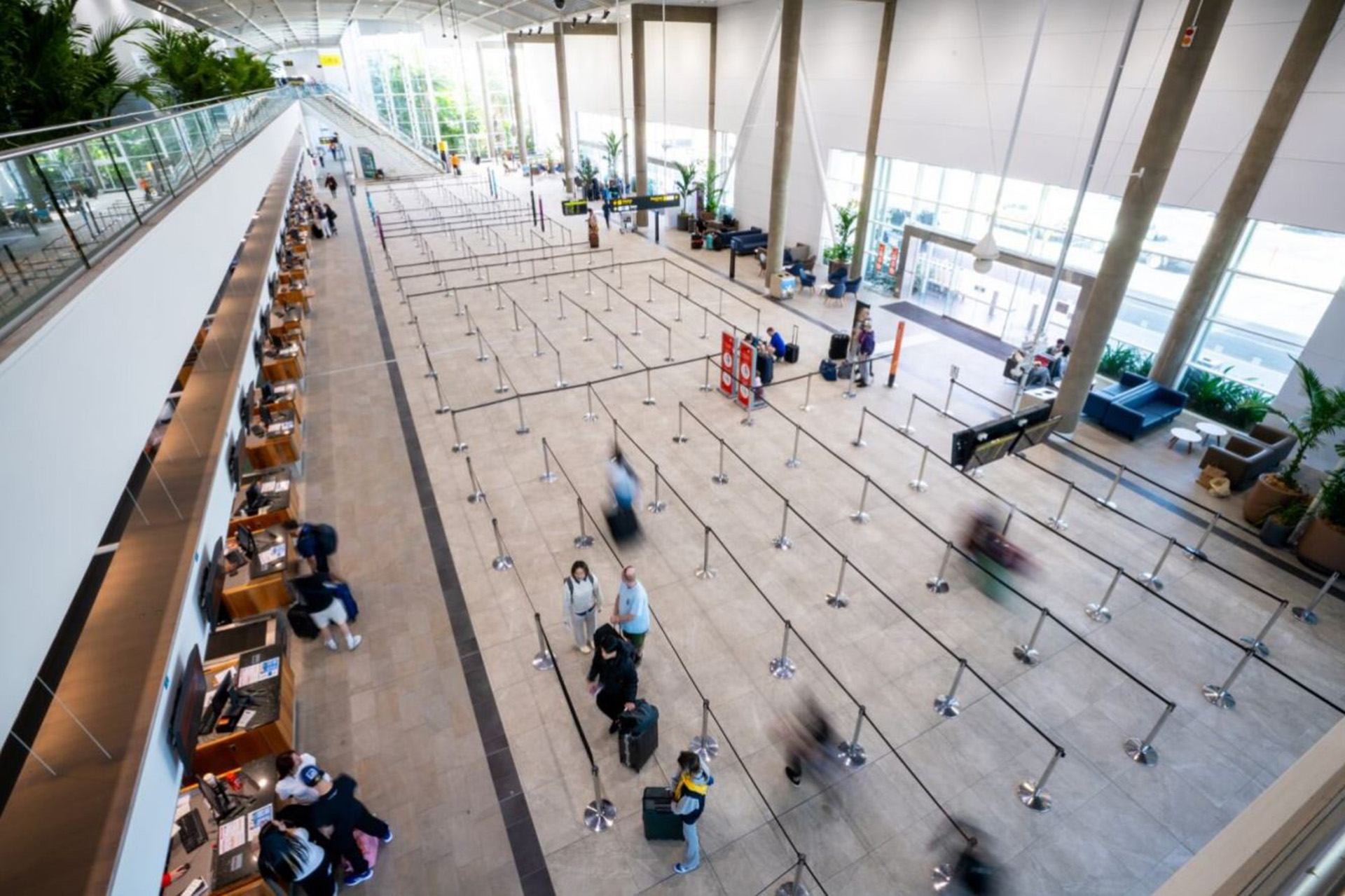 General image of check in counters at Cairns International Airport