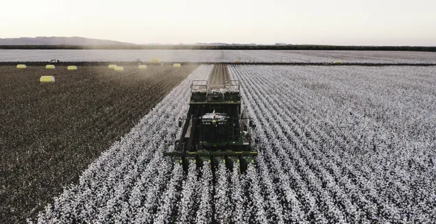 Kimberley Cotton Company - Aerial view of cotton machine.