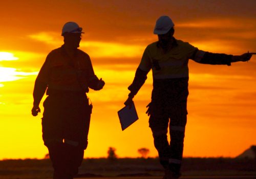 new cotton growing industry