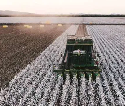Funding milestone for Kimberley cotton gin