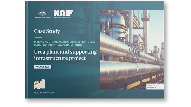 Perdaman urea plant and supporting infrastructure project case study