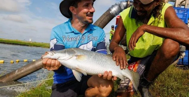 Humpty Doo Barramundi’s IES Strategy - Man holding fish